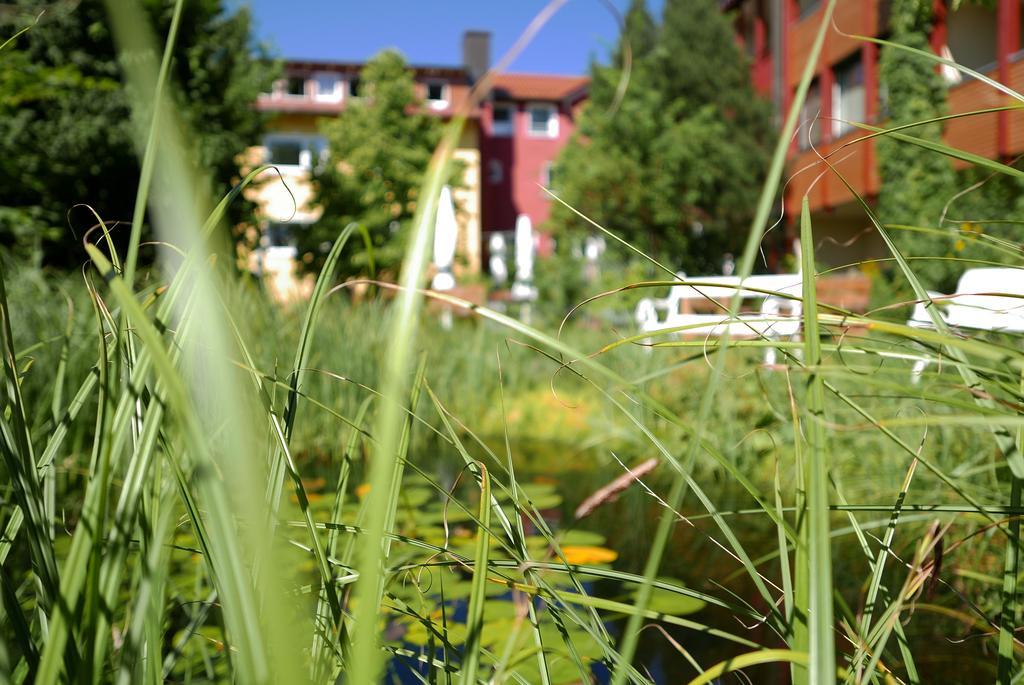 Wagners Hotel Schonblick, C&C Hotels Und Vertrieb Gmbh Fichtelberg Exterior photo